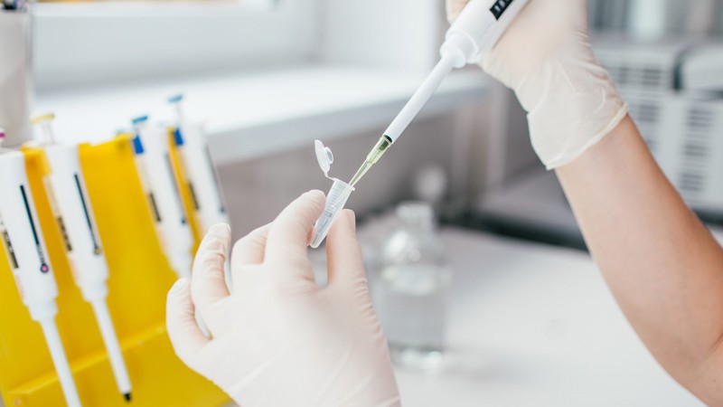 Zkušenosti s testem Harmony